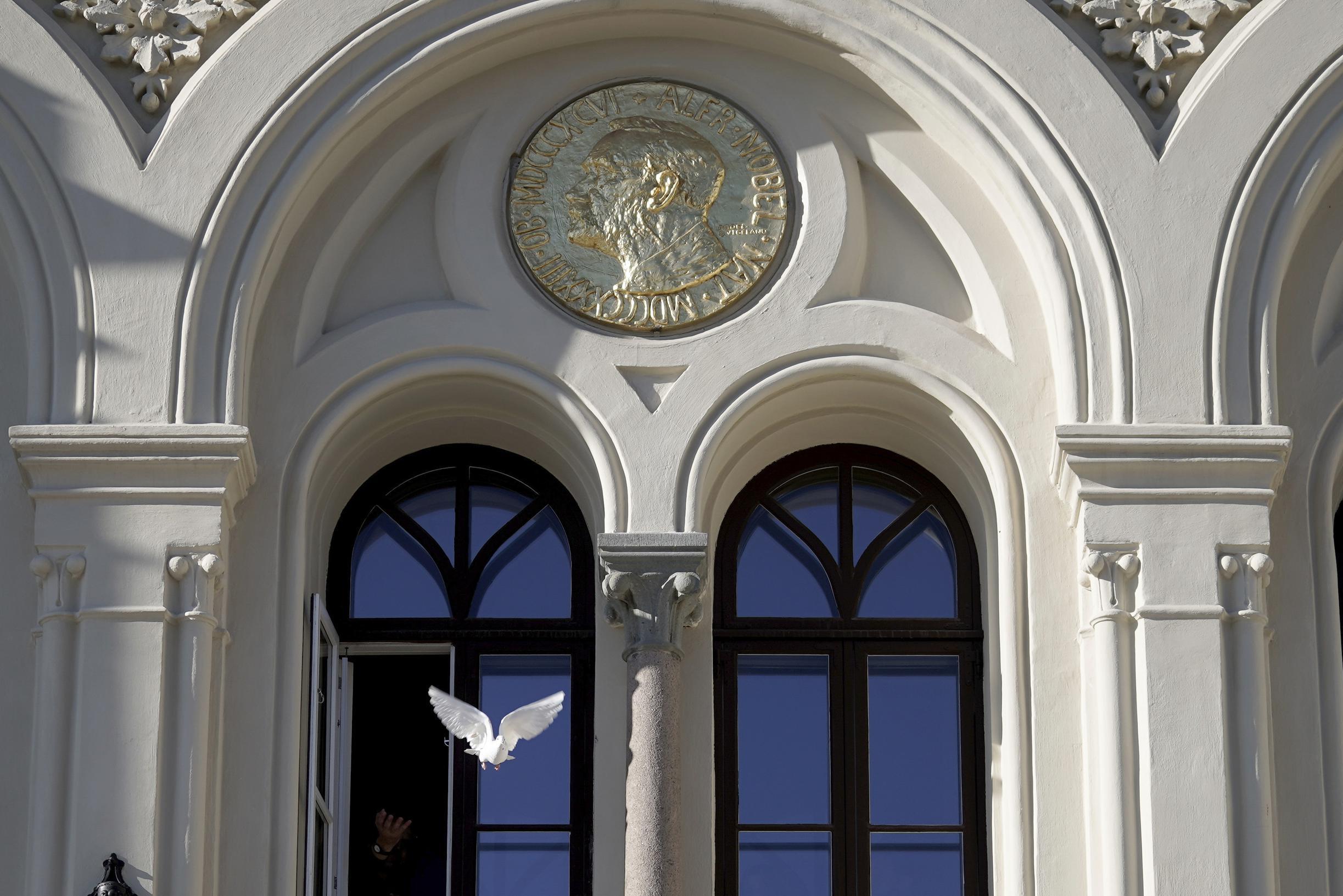 Waar komt al dat geld voor de Nobelprijzen vandaan? | De Standaard