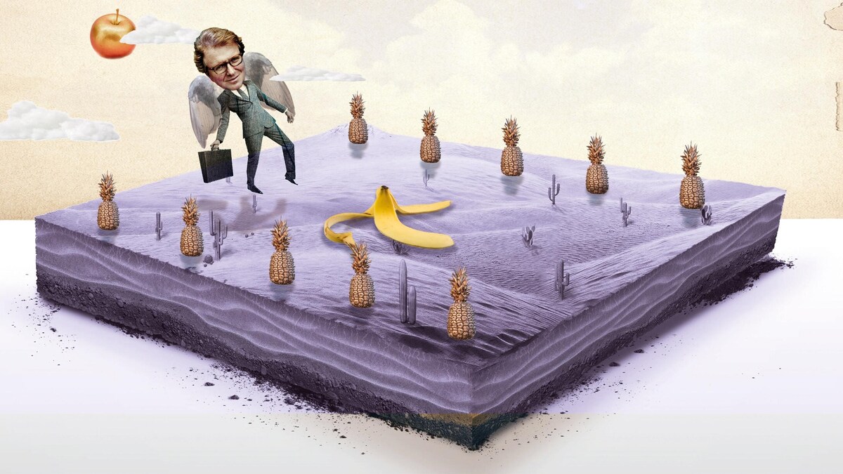 ‘Hij is iets tussen Icarus en een Formule 1-piloot in’ | De Standaard