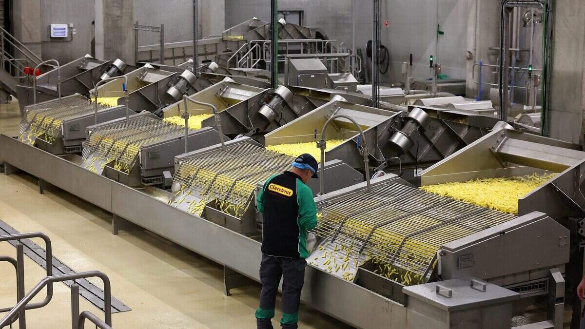 Clarebout Potatoes wil fabriek in Moeskroen sluiten, 392 banen bedreigd
