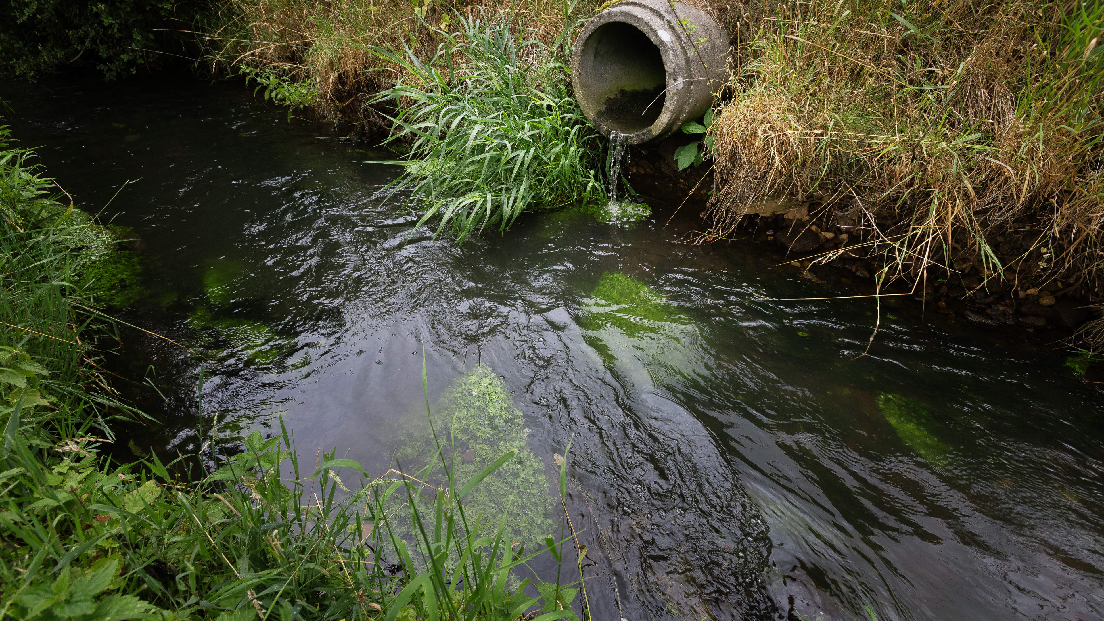 Afvalwatersector trekt aan de alarmbel: “Rioleringswerken moeten wijken voor prestigeprojecten als Oosterweel”