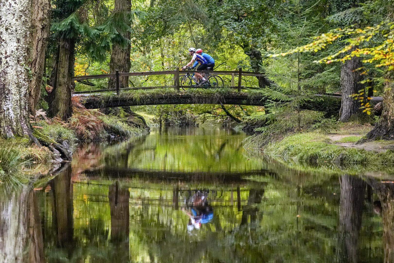 Cyclists cross a bridge over Flechs water near to Brockenhurst in the New Forest, Hampshire. Picture date: Tuesday October 15, 2024. (Photo by Andrew Matthews/PA Images via Getty Images)