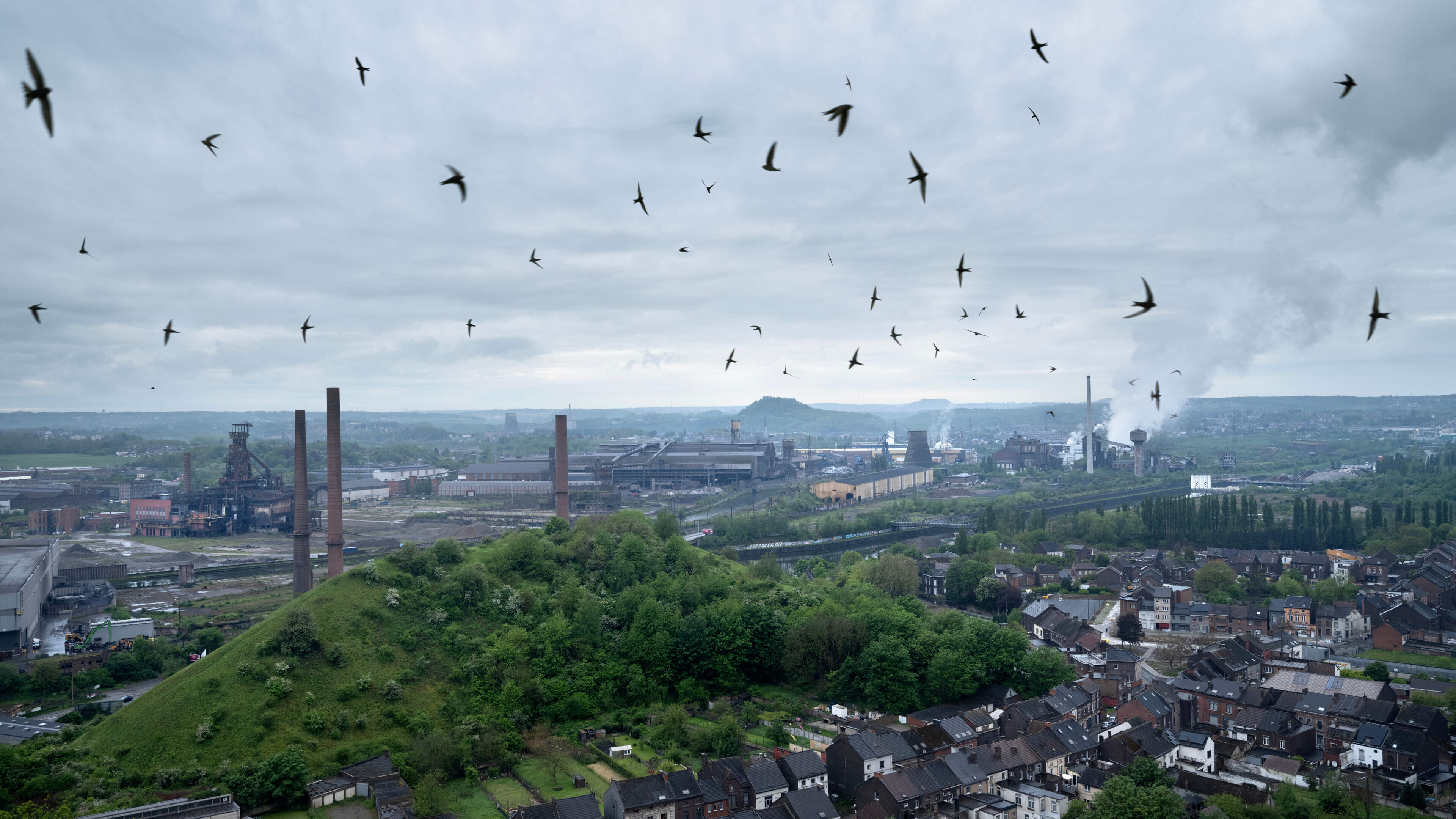 Waarom vooral de Walen een belastingverlaging willen