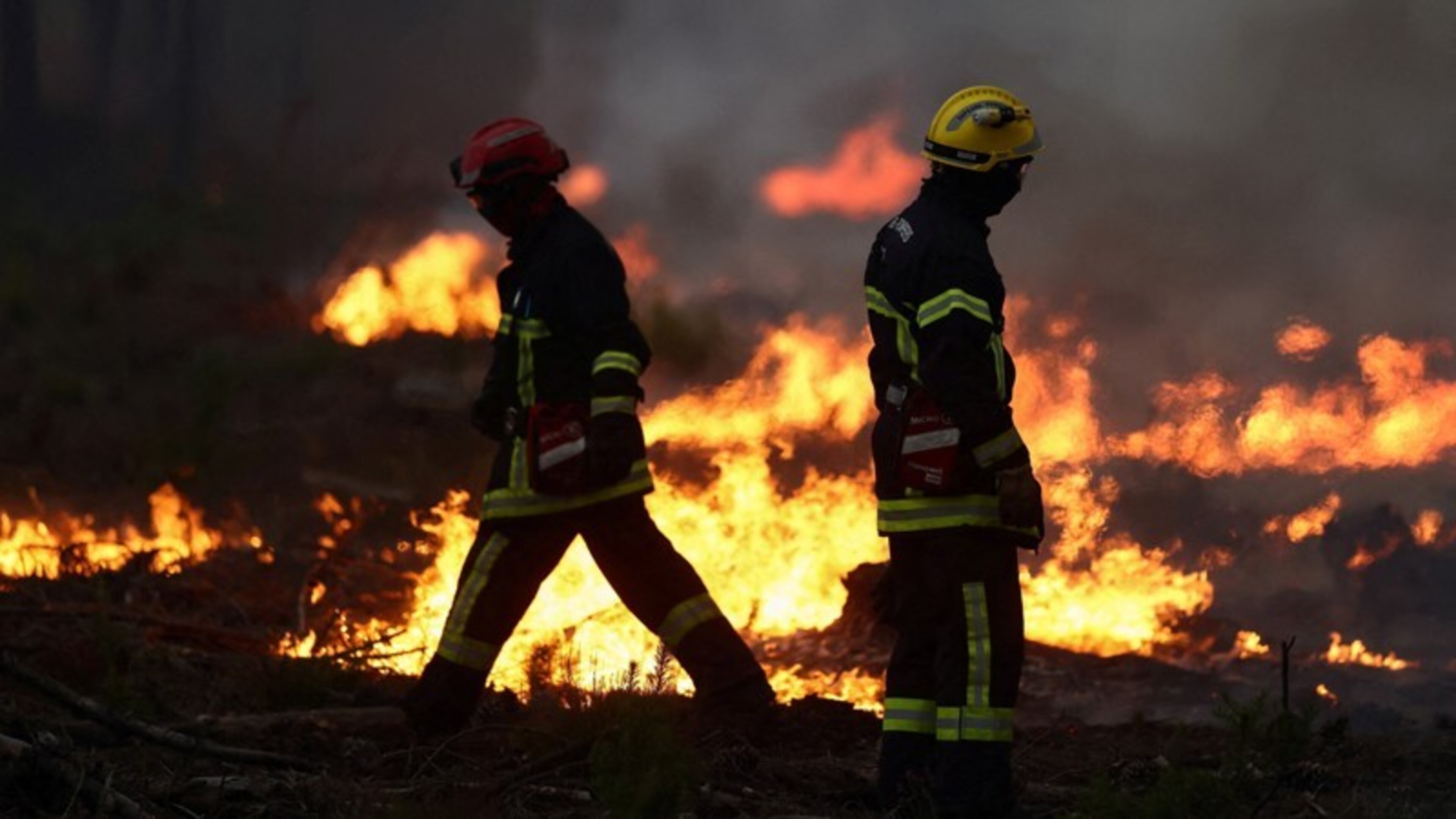 Bordeaux zet zich schrap voor het naderende vuur: “De evacuaties lopen te chaotisch. Ik heb drie uur gereden over veertig kilometer”