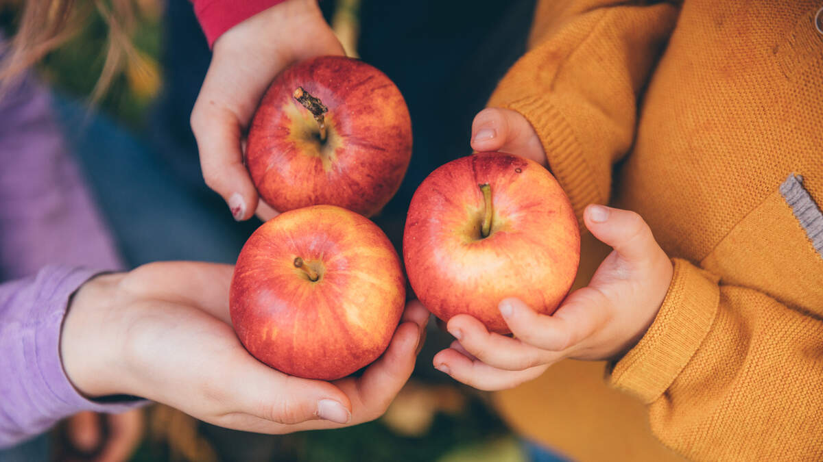 Jute Bewaarzak voor Groente en Fruit