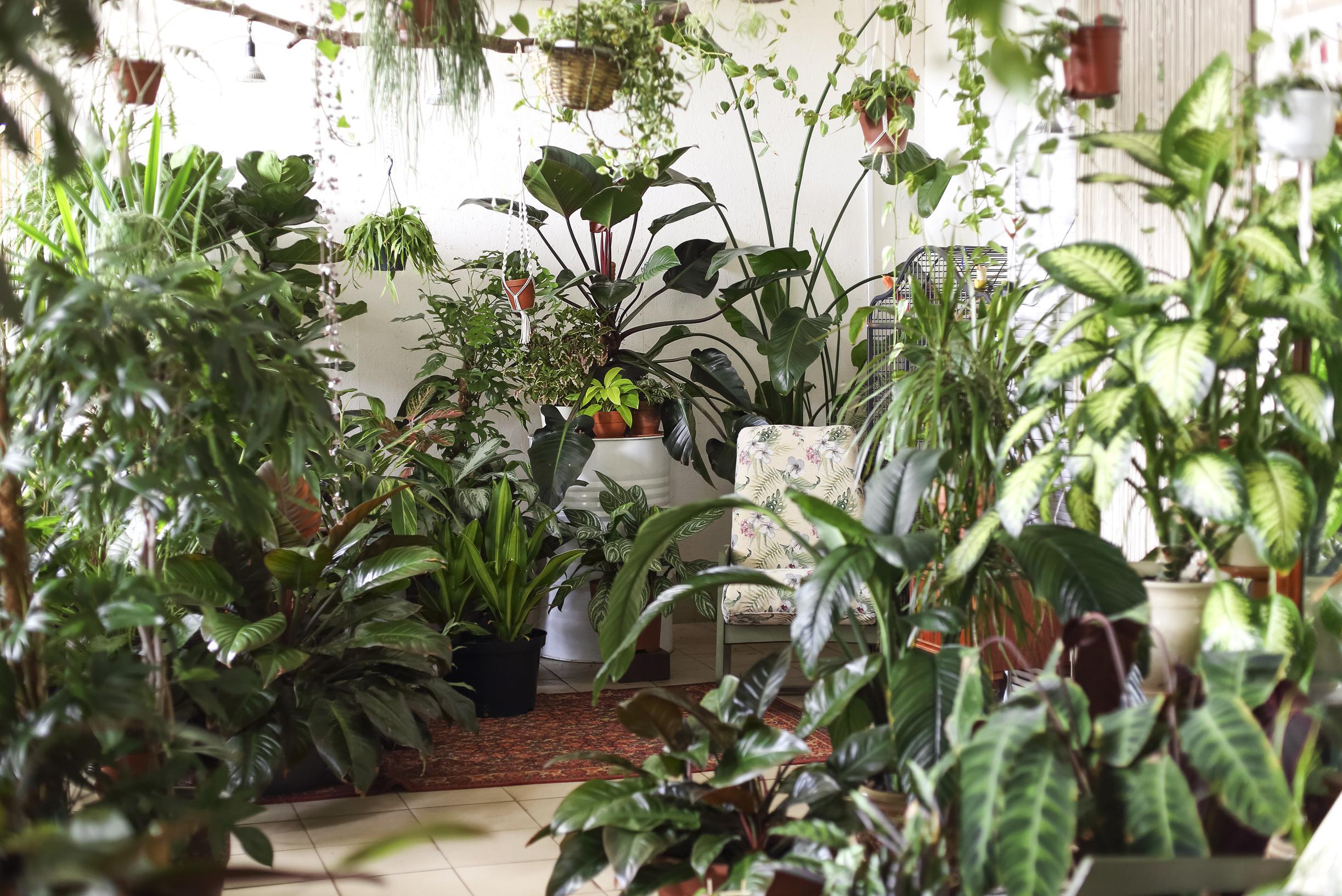 hanging faux plants Stem Artificial Hanging Fern Plant | Artificial Flower main image 1