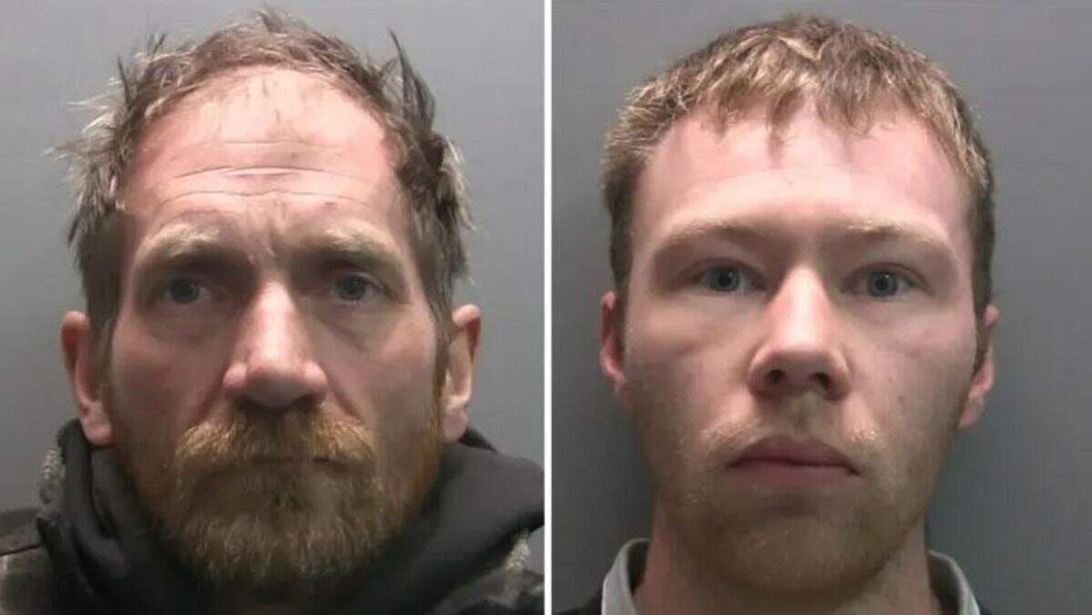 「Idiote Mission」：有名なイギリスの木の伐採の罪を犯した2人の男性