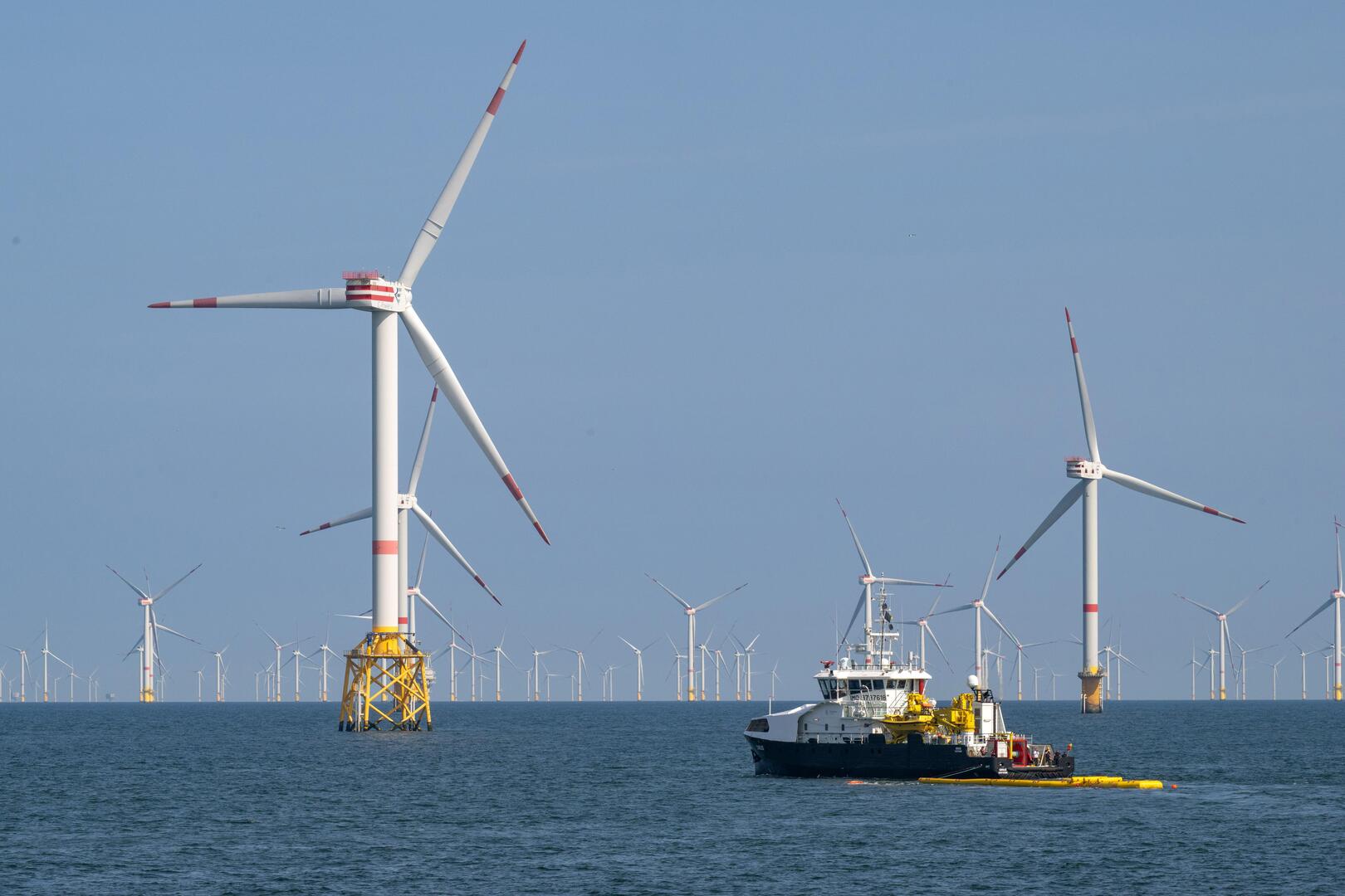Regering zet veiling nieuw windpark stop: “Bijzonder jammer, we