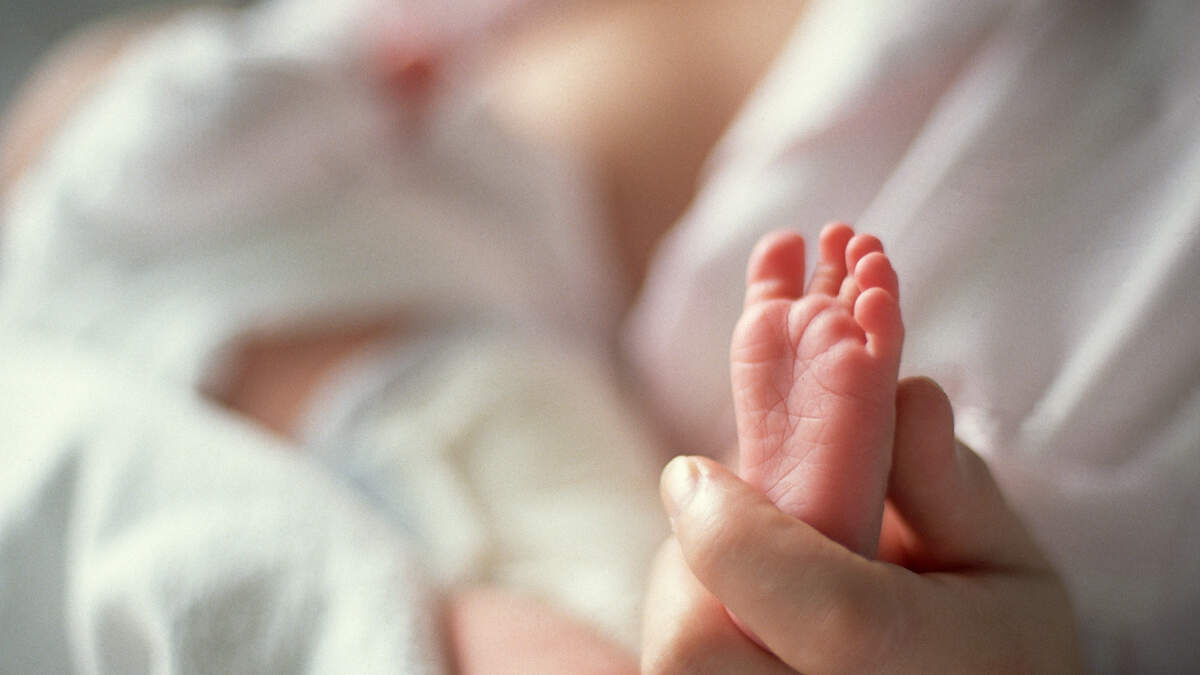 オランダの少なくとも85人の種子ドナーが25人以上の子供を持つ：クリニックは「喜んで、故意に」誤りがあります