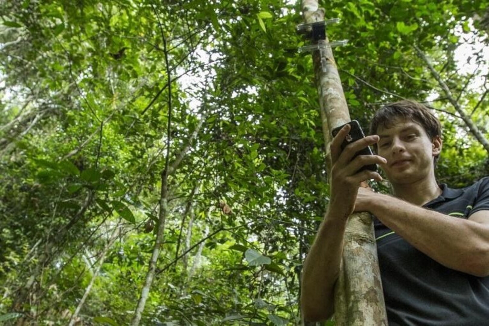 Het nut van smartphones in de jungle | De Standaard