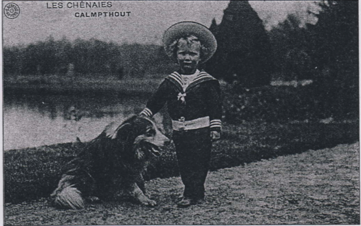 ‘Het Fortuin Carlier’: waar is de Petrofina-erfenis van 210 miljoen