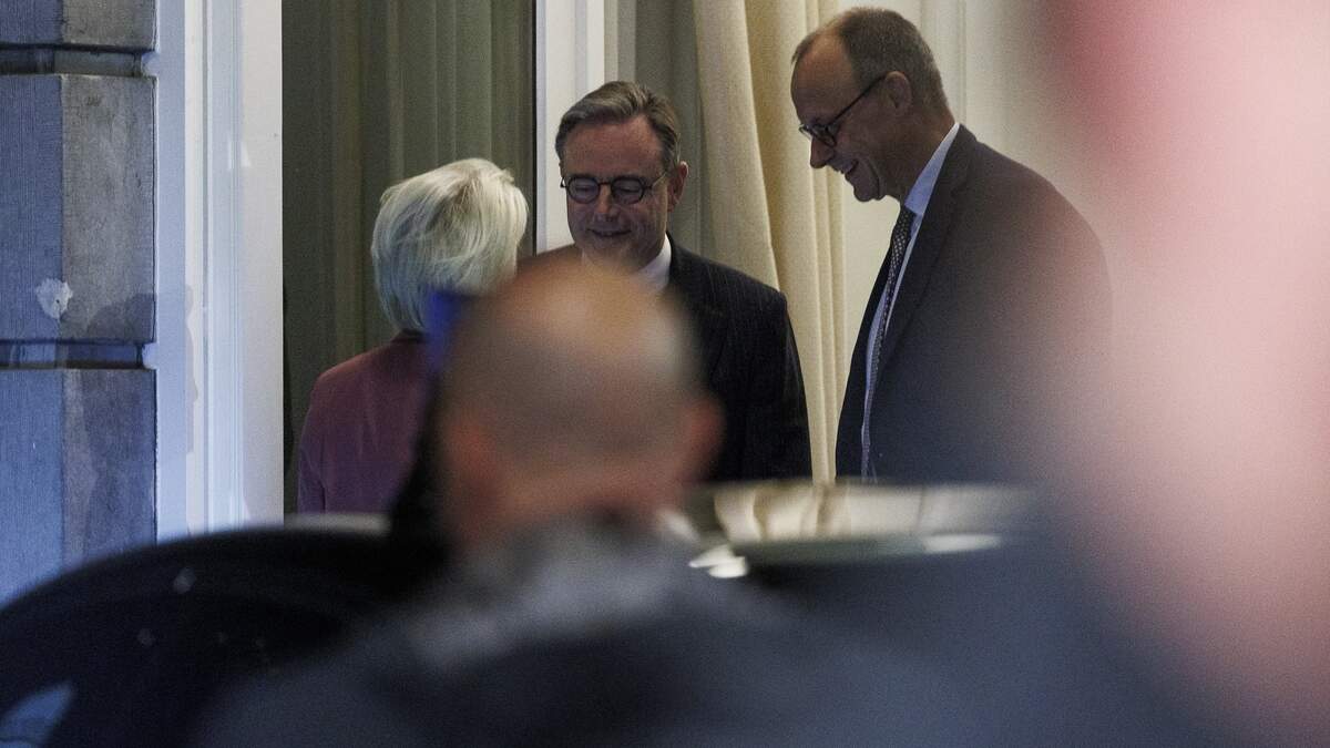 メルツ首相、ロシア資産に関するデ・ウェーバー氏との協議は「建設的」と発言 – De Standardaard