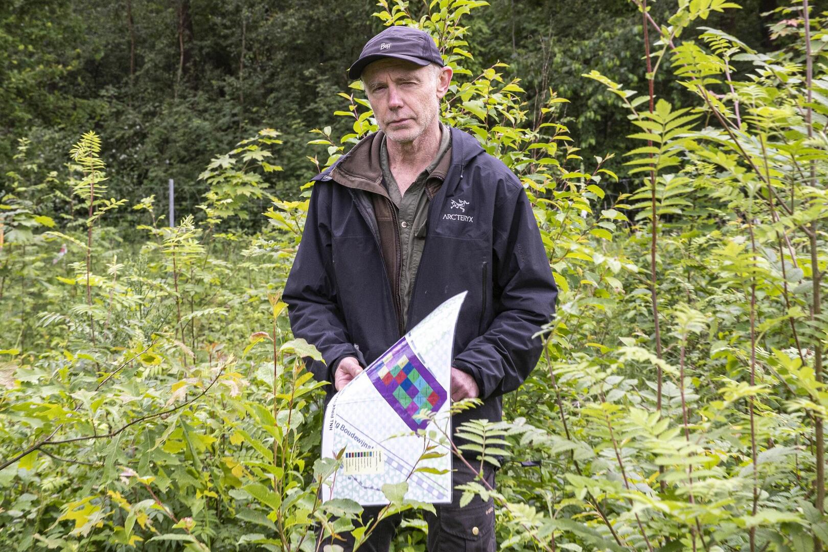 Zijn uitheemse boomsoorten de toekomst van onze bossen? | De Standaard
