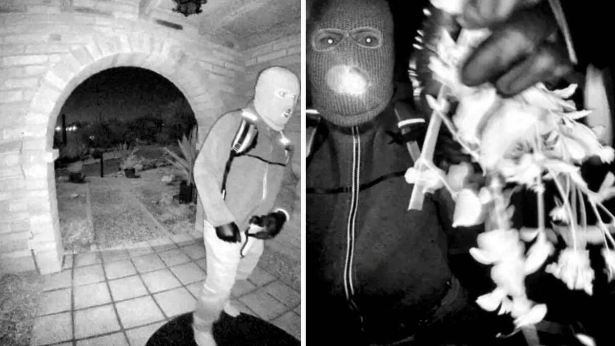 仮面をかぶった侵入者のビデオが、誘拐されたナンシー・ガスリー捜索の主要な手掛かりとなる：「あの男を見つけなければならない」