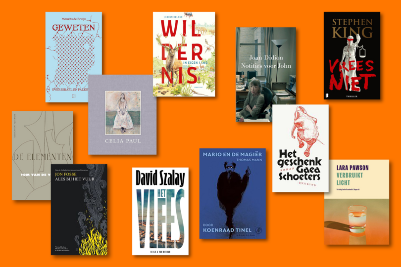 Beste boeken 2025 | De Standaard