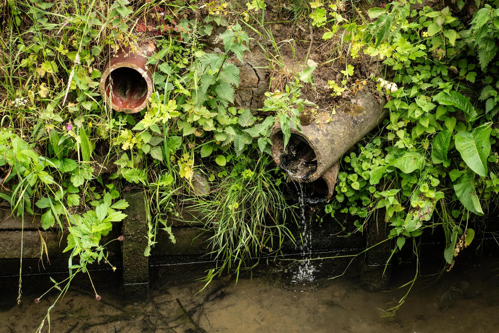Uit ettelijke afvoerbuizen druppelt open en bloot continu afvalwater in de Molenbeek.