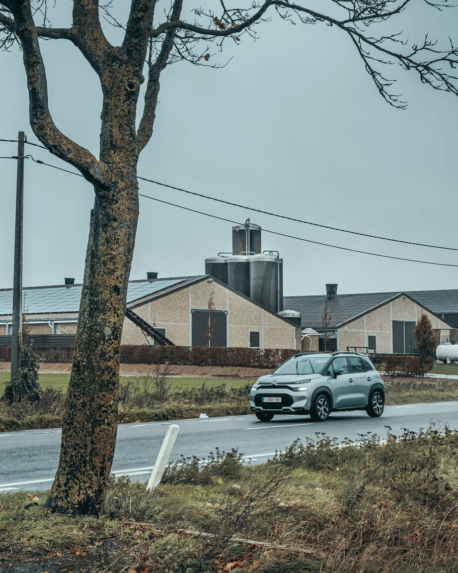 Repo Kippen zijn de nieuwe varkens in West-Vlaanderen
Hier pluimveebedrijf Vanhoutte-Populierenhoeve in de Ieperstraat in Heuvelland