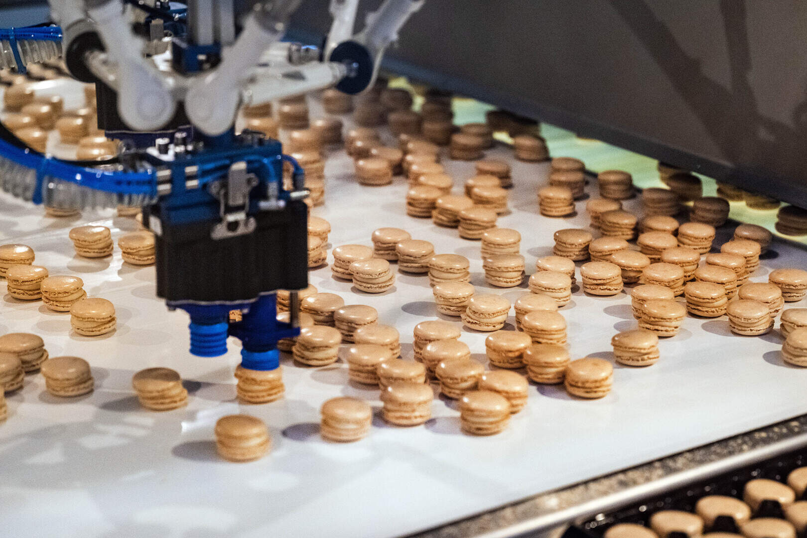 Iedereen eet zijn macarons, weinigen kennen zijn naam: koekjesbakker  Poppies Bakeries bedient de halve wereld | De Standaard