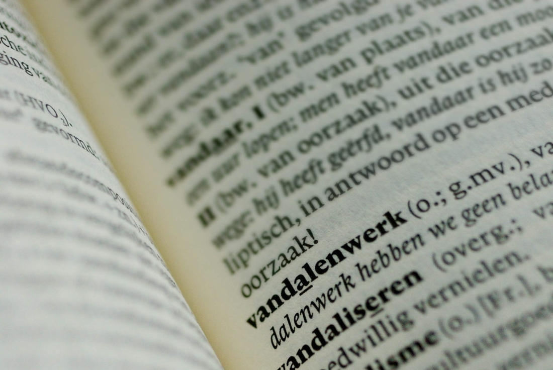 Sukkelseks en bitcoin opgenomen in Dikke Van Dale | De Standaard